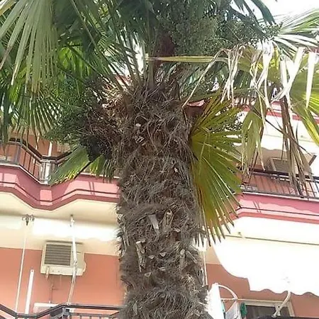 Apartman Nikos Paralía
